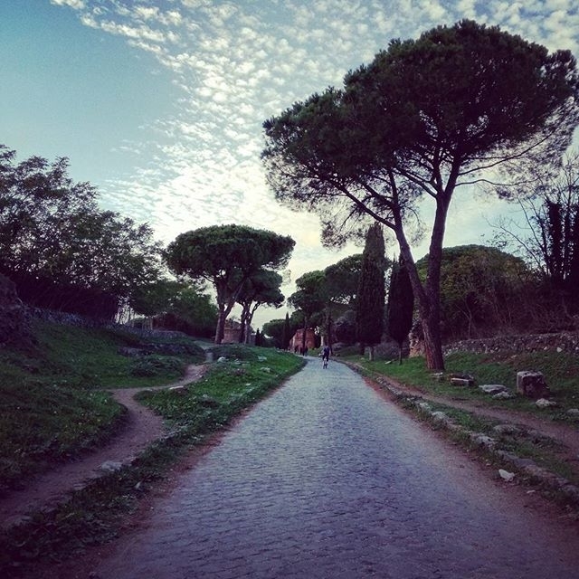 regram @thesmallestclaudia #ReginaViarum If Romans called the “Queen of all the streets”, there is a reason. I love to walk along the #appiaantica Everything here reminds me that I’m small, I’m a small part of an #unicum My feet are among million and million other feet. Yesterday, now and tomorrow. #parcoappia #seguilavolpe #ancientrome #ivmiglio #vmiglio #rome #villadeiquintili