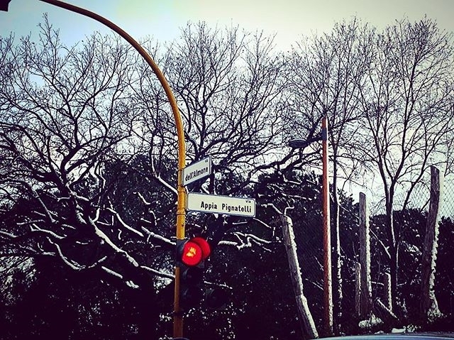 Pignatelli sotto la neve | ph @chi_aragiugliano
#sky #trafficlight #cielo #nevearoma #neve #snow #traffic #tree #appiapignatelli