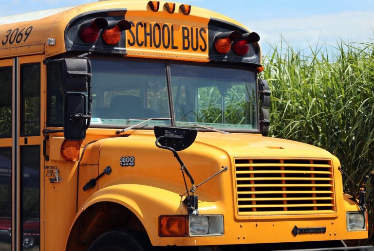 school bus, school, bus