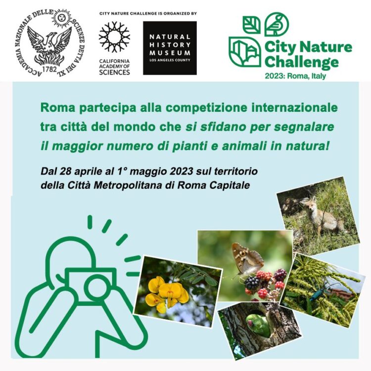 City Nature Challange 2023: gli appuntamenti al Parco dell’Appia