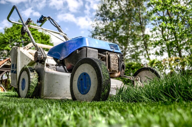 Corsi pubblici di giardinaggio