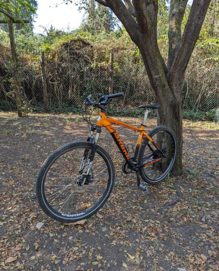 Scegli la sostenibilità, compra una bicicletta usata da il Centro Servizi Appia Antica