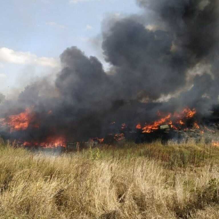 Incendio di pneumatici ad Ardea, Legambiente L'incendio di Ardea che nelle passate ore ha riempito di nero il cielo a sud della capitale, è stato l'e...