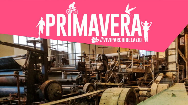 dalla polpa alla carta: esperienza di cartiera